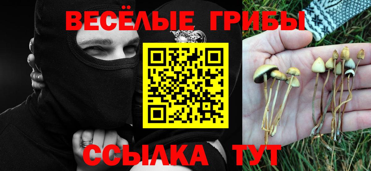 Лосино-Петровский  Псилоцибиновые грибы Magic Shrooms  закладки  Вход с VPN 